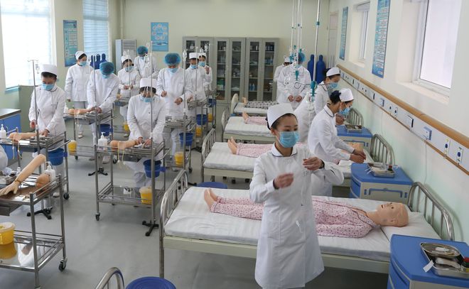 专科就业率高的6类专业实用性较高开云体育 开云平台分数优势不大适合报考(图1)
