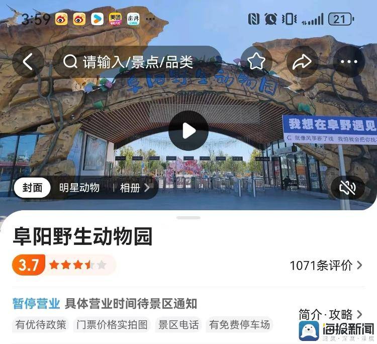 开云体育 Kaiyun.com 官网入口20只东北虎死亡后续：涉事动物园被罚上千万官方回应剩余东北虎去向(图1)