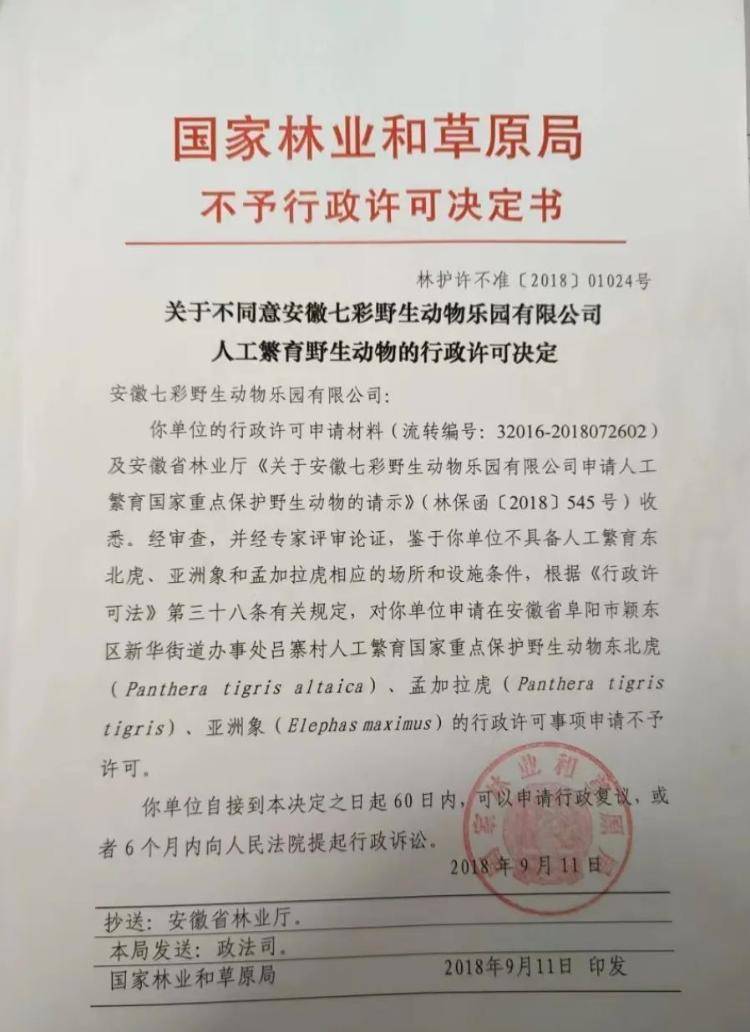 开云体育 Kaiyun.com 官网入口20只东北虎死亡后续：涉事动物园被罚上千万官方回应剩余东北虎去向(图2)