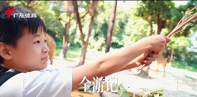 开云APP 开云官网入口可爱!全红婵二刷广州长隆动物园看大熊猫舔仔抱陈艺文撒娇：母爱!(图4)
